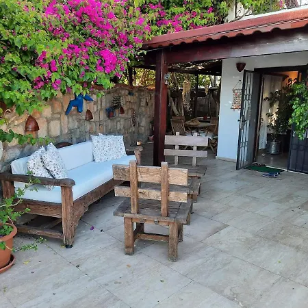 Willa Bodrum Ageon Thears Villa *