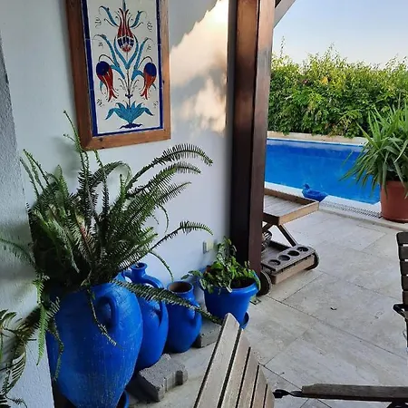 Bodrum Ageon Thears Villa