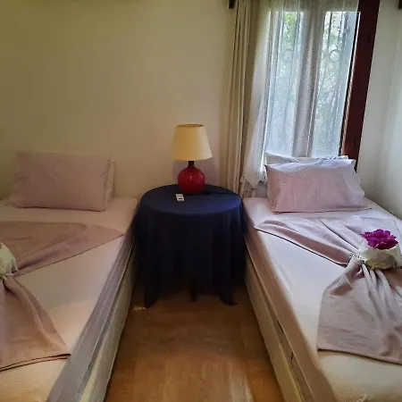 Bodrum Ageon Thears Villa