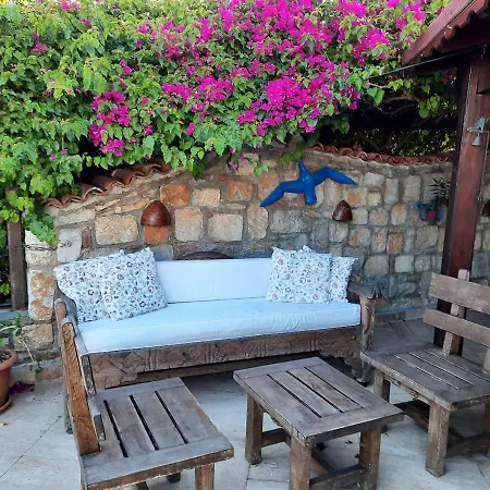 Bodrum Ageon Thears Villa