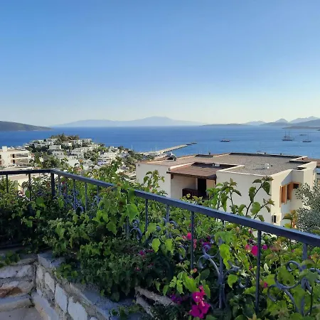Bodrum Ageon Thears Villa Willa Bodrum