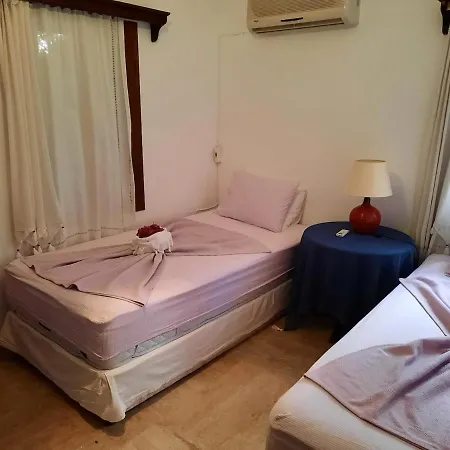 Bodrum Ageon Thears Villa